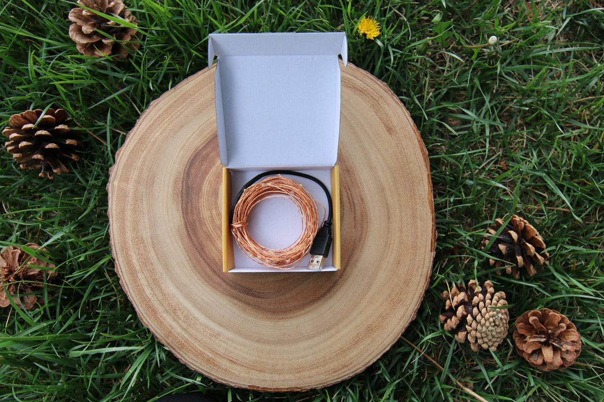 TRAIL HOUND™ 30 FT. CAMPING LIGHT - BaseCamp Provisions