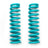 DOBINSONS COIL SPRINGS PAIR - C19-564 - BaseCamp Provisions