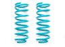 DOBINSONS COIL SPRINGS PAIR - C59-535 - BaseCamp Provisions