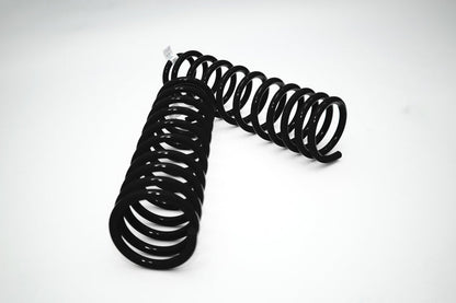 DOBINSONS FRONT COIL SPRINGS (C59-314) - BaseCamp Provisions